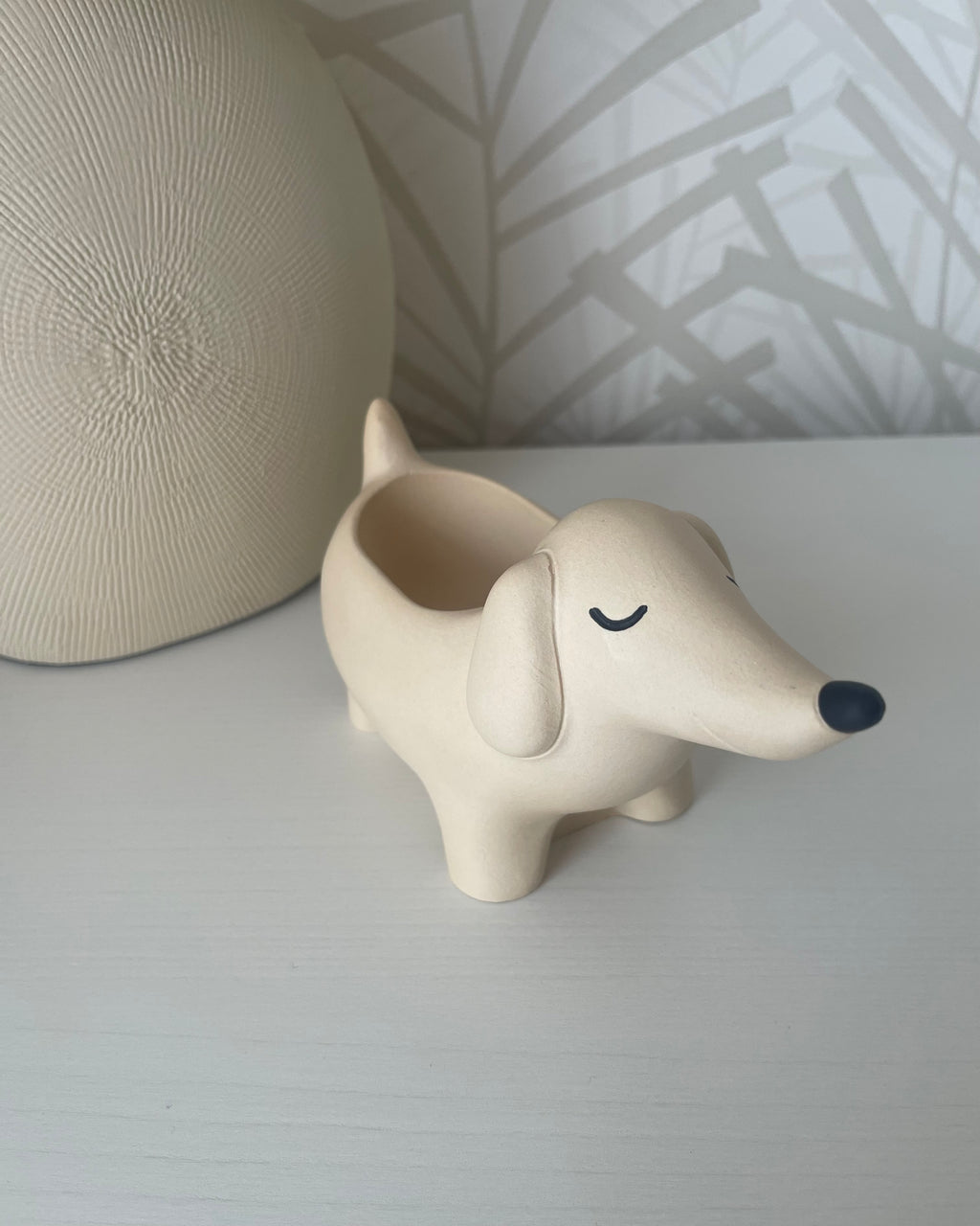 Taquito, el perro salchicha