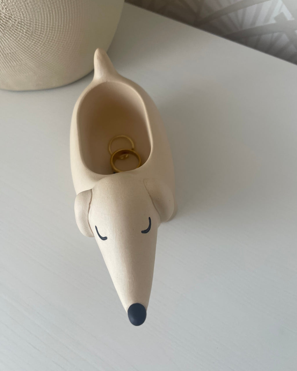 Taquito, el perro salchicha